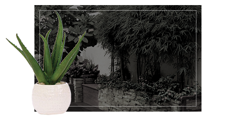 Landscape | Ornaments