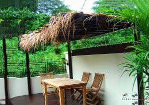 Jalan Tari Payong · Back Garden