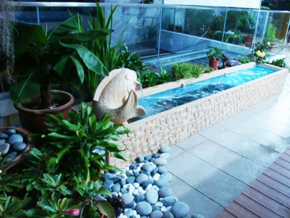 Modern Royal Wisdom Design Water Feature Pond at Rooftop Garden