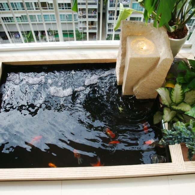 Modern Design Aquatic Pond at Balcony