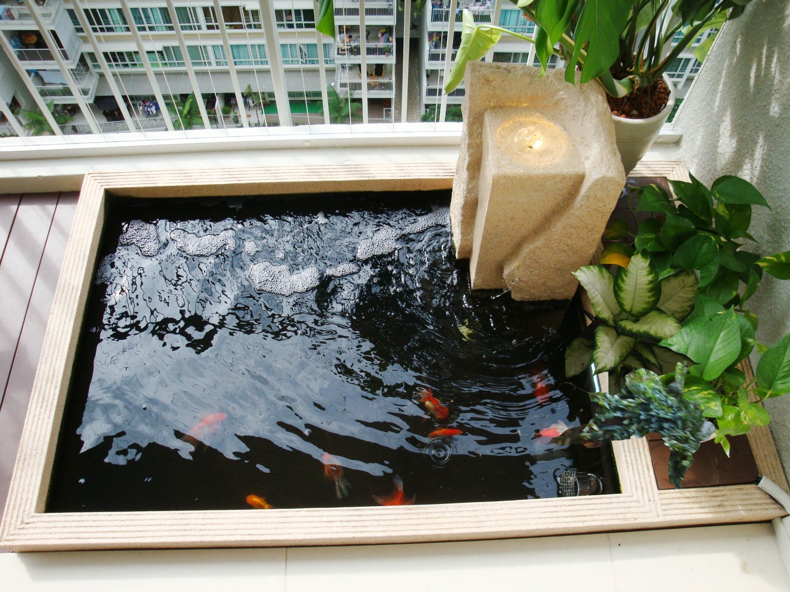 Modern Design Aquatic Pond at Balcony